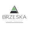 Biuro Rachunkowe Agnieszka Brzeska